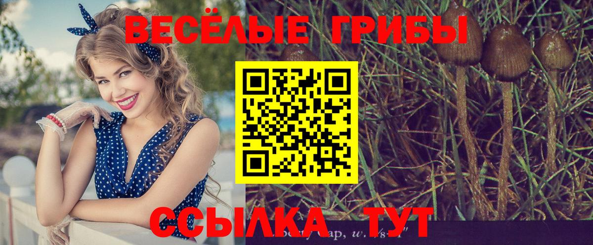 Галлюциногенные грибы мицелий  Вход с VPN  Кинель 